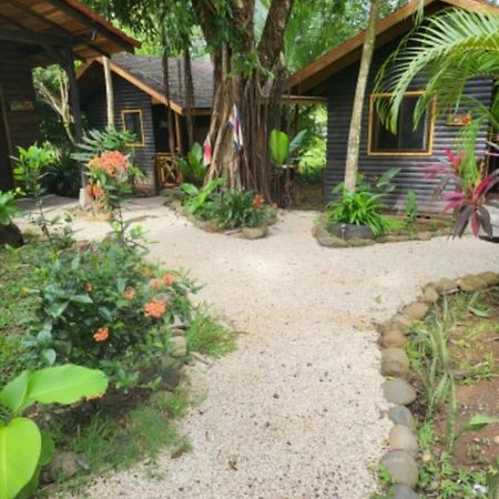 לינה וארוחת בוקר פאריטה Casa El Colibri מראה חיצוני תמונה