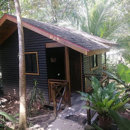 לינה וארוחת בוקר פאריטה Casa El Colibri חדר תמונה