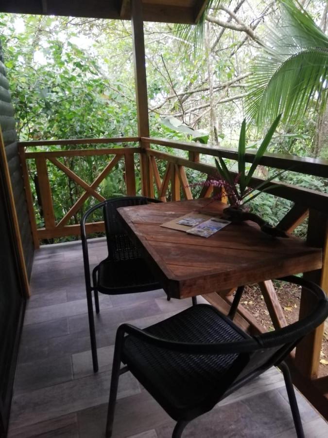 לינה וארוחת בוקר פאריטה Casa El Colibri מראה חיצוני תמונה