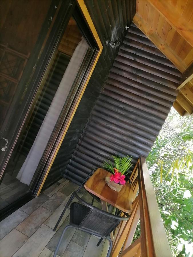 לינה וארוחת בוקר פאריטה Casa El Colibri מראה חיצוני תמונה