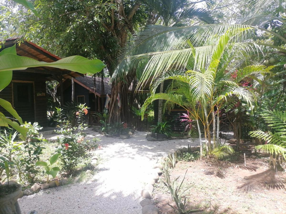 לינה וארוחת בוקר פאריטה Casa El Colibri מראה חיצוני תמונה