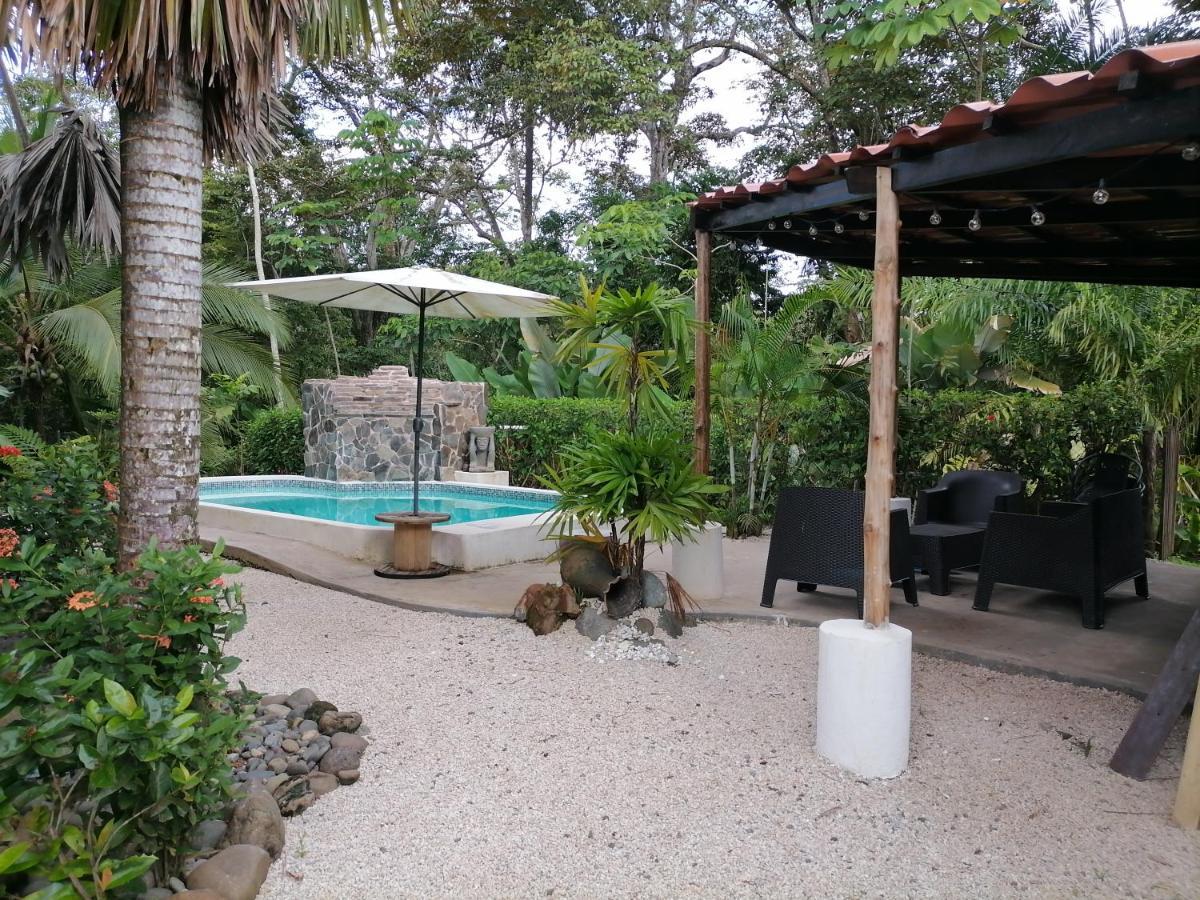 לינה וארוחת בוקר פאריטה Casa El Colibri מראה חיצוני תמונה