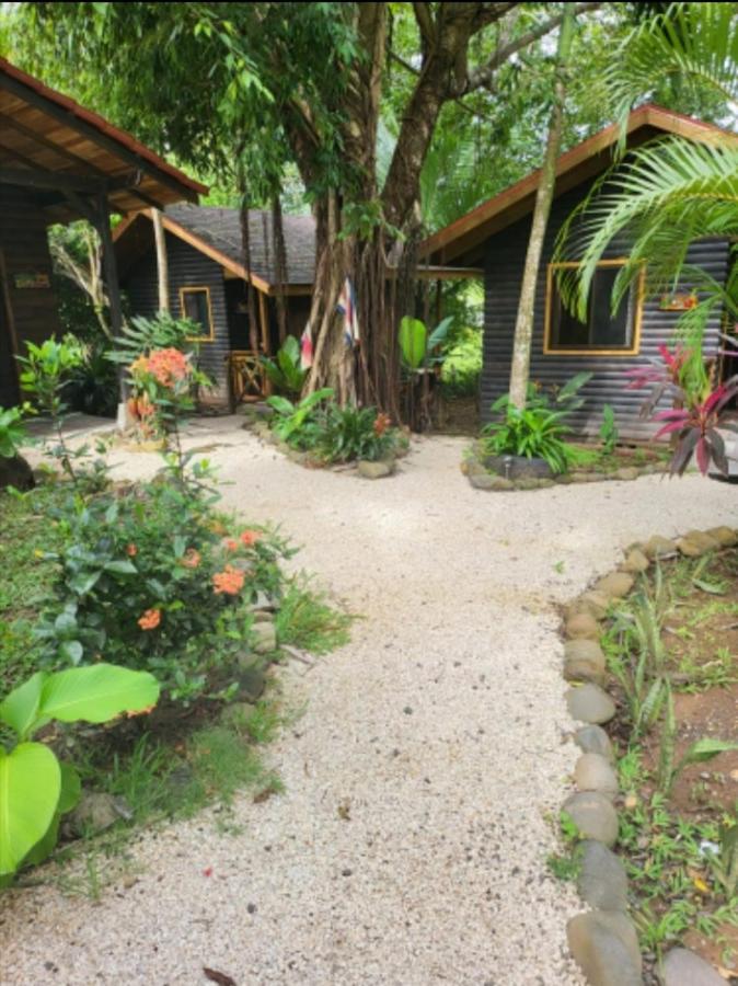 לינה וארוחת בוקר פאריטה Casa El Colibri מראה חיצוני תמונה